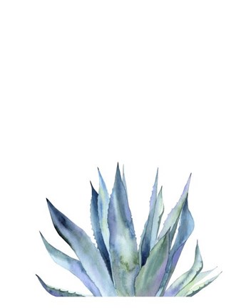 Framed Agave II Print