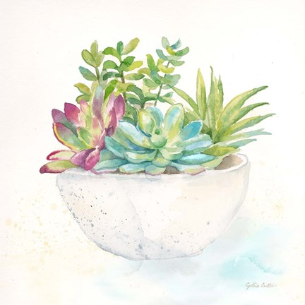 Framed Sweet Succulent Pots II Print