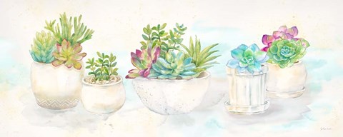 Framed Sweet Succulents Panel Print