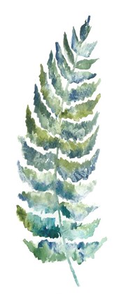 Framed Botanical Fern Single III Print