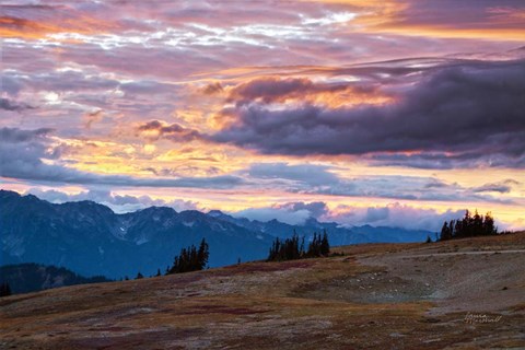 Framed September Skies I Print