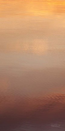 Framed Kalaloch Reflections II Print