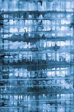 Framed Kanari I Indigo Print