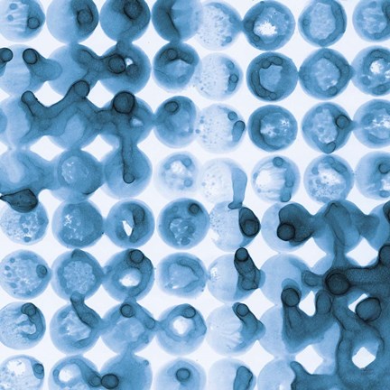 Framed Kanari Square II Indigo Print