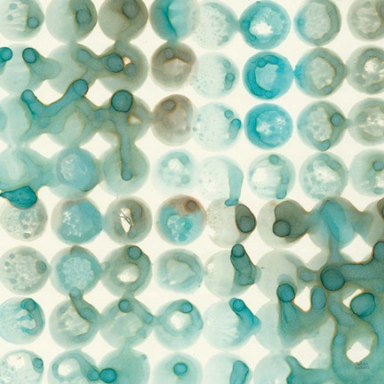 Framed Kanari Square II Print