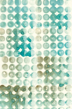 Framed Kanari III Print