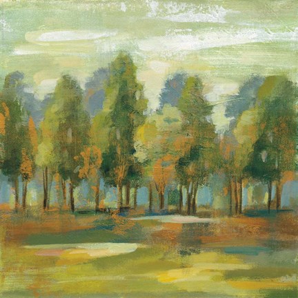 Framed Forest I Print