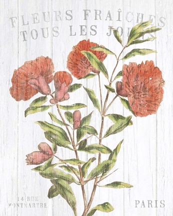 Framed Fleuriste Paris III Print