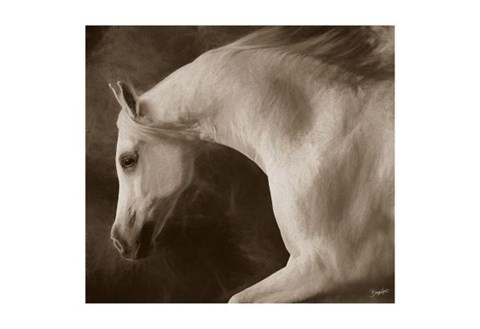 Framed Tag Impression Print