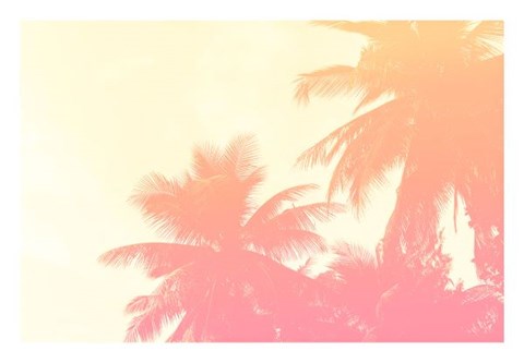 Framed Coconut Palm Trees Print
