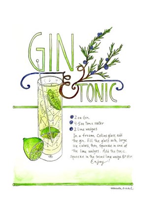 Framed Gin &amp; Tonic Print