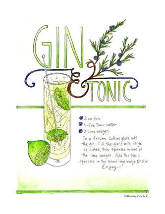 Framed Gin &amp; Tonic Print