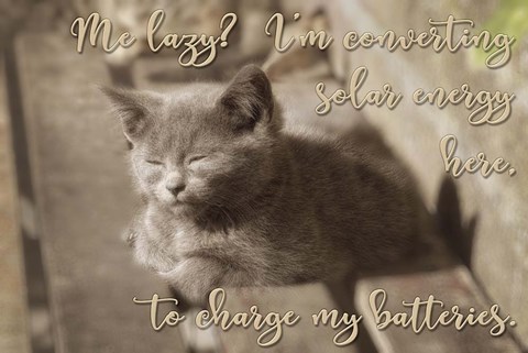 Framed Me Lazy Print