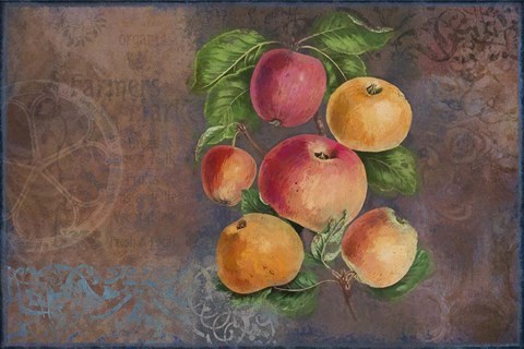 Framed Apples - Fruit Series Print