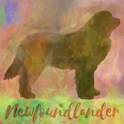 Framed Newfoundlander Dog Print