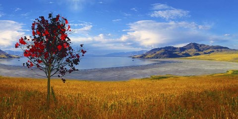 Framed Autumn View Print