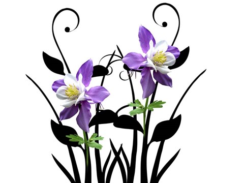 Framed Purple Delight Print