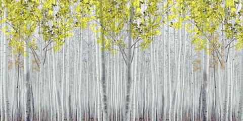 Framed White Forest Print