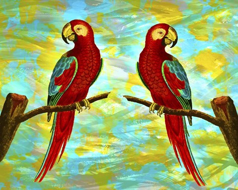 Framed Red Parrots Print