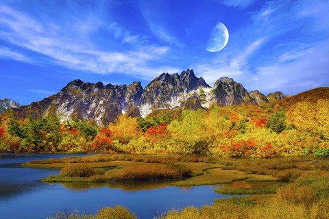 Framed Beauty Of Nature Print