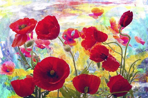 Framed Red Poppies Print