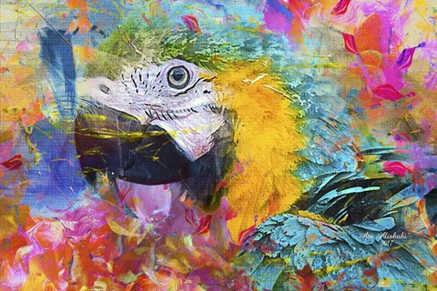 Framed Colorful Mix Print