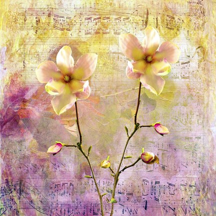 Framed Flowers &amp; Music Print
