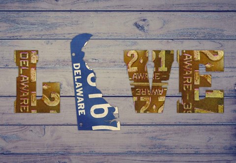 Framed DE State Love Print