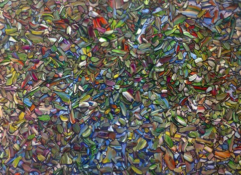 Framed Flower Re-Arrangement Print