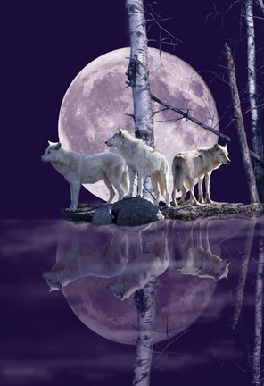 Framed Moonset Point Print