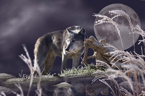 Framed First Frost Print