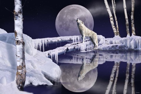 Framed Open Water Print