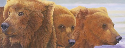 Framed Alaska Coming 2 Print