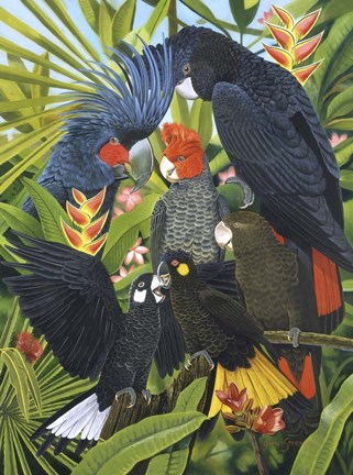 Framed Back In Black Print