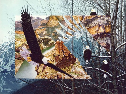 Framed No Bounds No Barriers Print