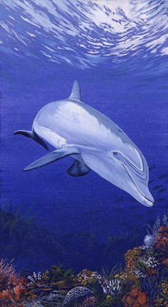 Framed On My Own Print