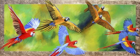 Framed Parrot Party Print