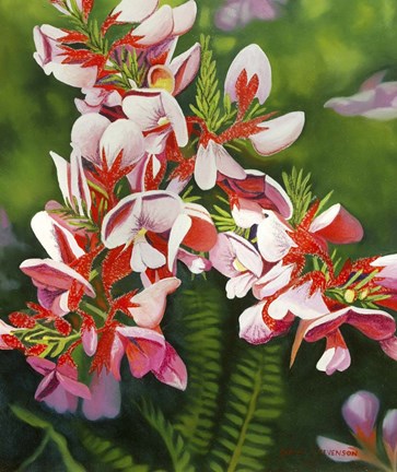 Framed Small Pink Print