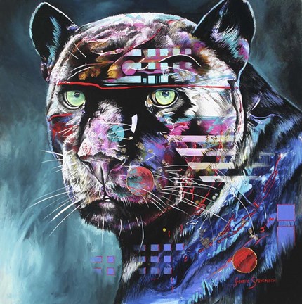 Framed Black Night Print