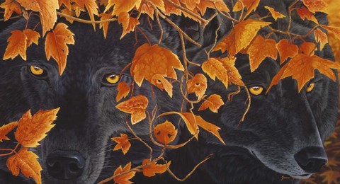 Framed Three Wolves Print