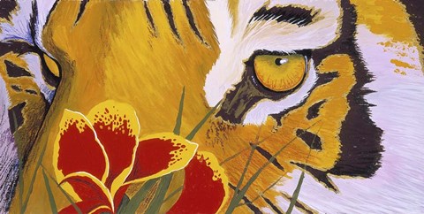 Framed Tiger Eye Print