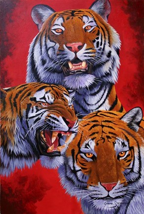 Framed Tigers Print