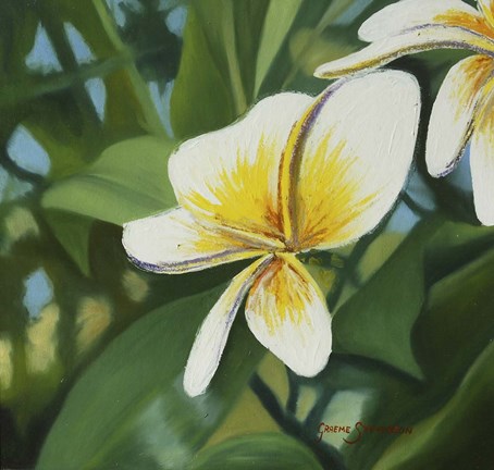 Framed Whate Frn Print