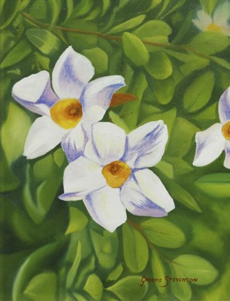 Framed White Flower Print