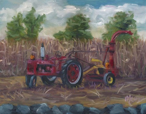 Framed On Display Print