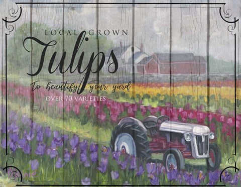 Framed Tractoring Through The Tulips Print