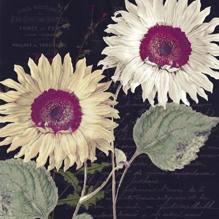 Framed Midnight Sun I Print