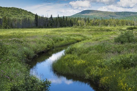 Framed Stream Runs Through It Print