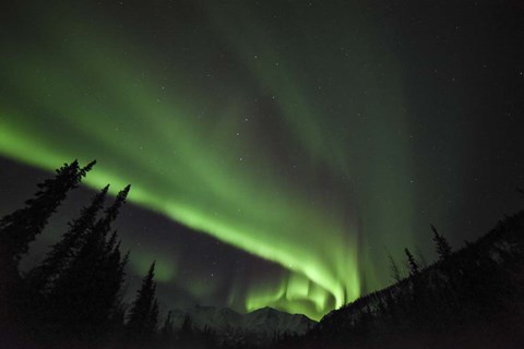 Framed Boreal Sensation Print