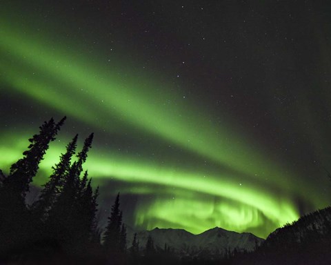 Framed Circles Of Wonder Print